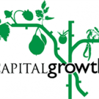 Capital Growth avatar image